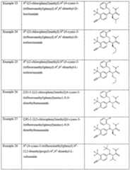 Figure imgf000011_0001