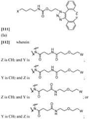 Figure imgf000019_0004