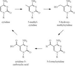 Figure US12344572-20250701-C00035