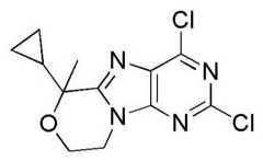 Figure BDA0001402557760001701