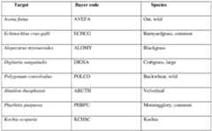 Figure imgf000030_0001