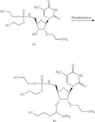 Figure US09738895-20170822-C00081