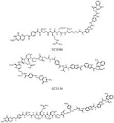 Figure imgf000146_0002