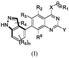Figure PCTCN2021124884-APPB-100001
