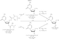 Figure US06875751-20050405-C00028