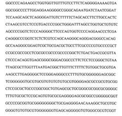 Figure 104109152-A0202-12-0083-13