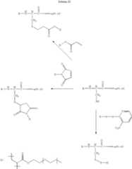 Figure US07637941-20091229-C00003