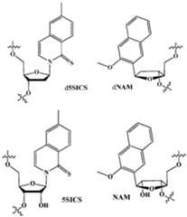 Figure imgf000212_0001