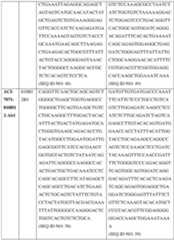 Figure imgf000092_0001