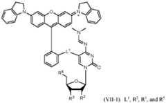 Figure imgf000067_0002