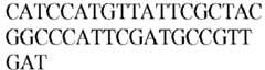 Figure imgb0562