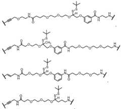 Figure imgf000171_0002