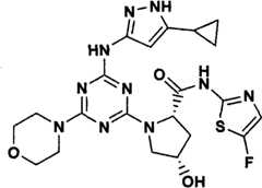 Figure GPA00001066806500851