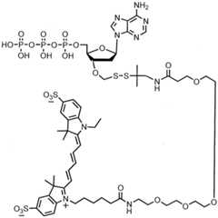 Figure imgf000251_0001
