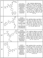 Figure imgf000206_0001