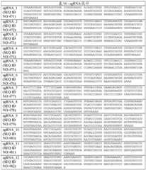 Figure BDA0004033970230004261