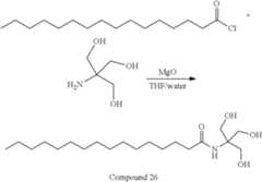 Figure US12024533-20240702-C00495