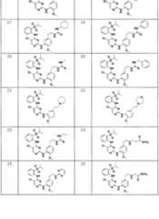 Figure imgf000115_0001