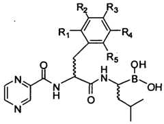 Figure imgf000116_0001