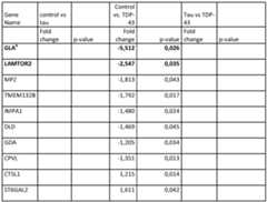 Figure imgf000028_0001