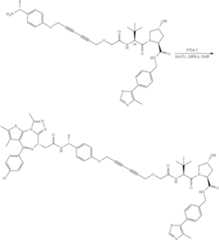 Figure US10772962-20200915-C00101