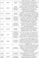 Figure PCTCN2022090268-appb-000107