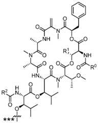Figure imgf000079_0001