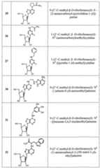 Figure imgf000073_0001