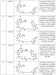 Figure BDA0002964098100002571