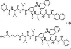 Figure G2009101493490D01561