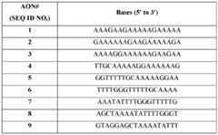 Figure imgf000010_0001