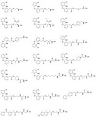 Figure 702171DEST_PATH_IMAGE005