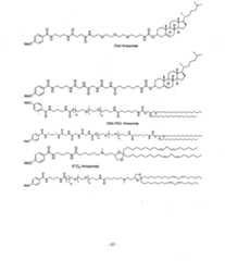 Figure imgf000058_0001