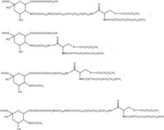 Figure 112009026250918-PCT00127