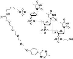 Figure imgf000199_0001