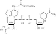 Figure US12234498-20250225-C00006