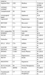 Figure BDA0003059584310000551