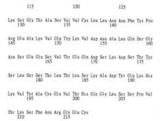 Figure 105116461-A0202-12-0296-108