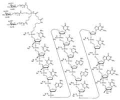 Figure 0007422816000015