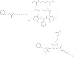 Figure US09170349-20151027-C00017