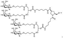 Figure imgf000062_0002