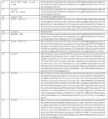 Figure imgf000027_0001