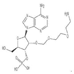 Figure imgf000048_0001