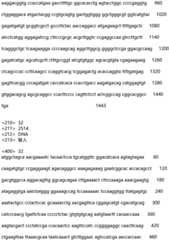 Figure IDA0002935257620000501