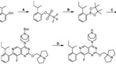 Figure imgf000563_0002