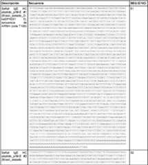 Figure imgf000111_0001