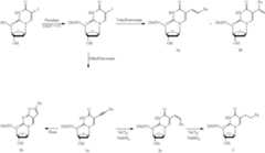 Figure US10428379-20191001-C00011