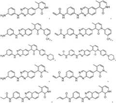 Figure FDA0001864409560000041