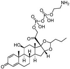 Figure BDA0002889616220003351