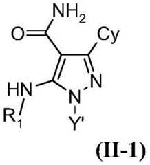 Figure BDA0001690044510000235